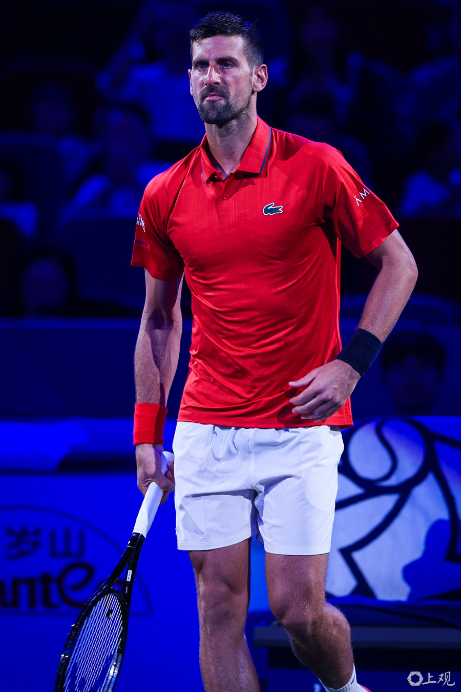 美网逆转联合杯,德约科维奇扛起全队 美网逆转联合杯,德约科维奇扛起全队