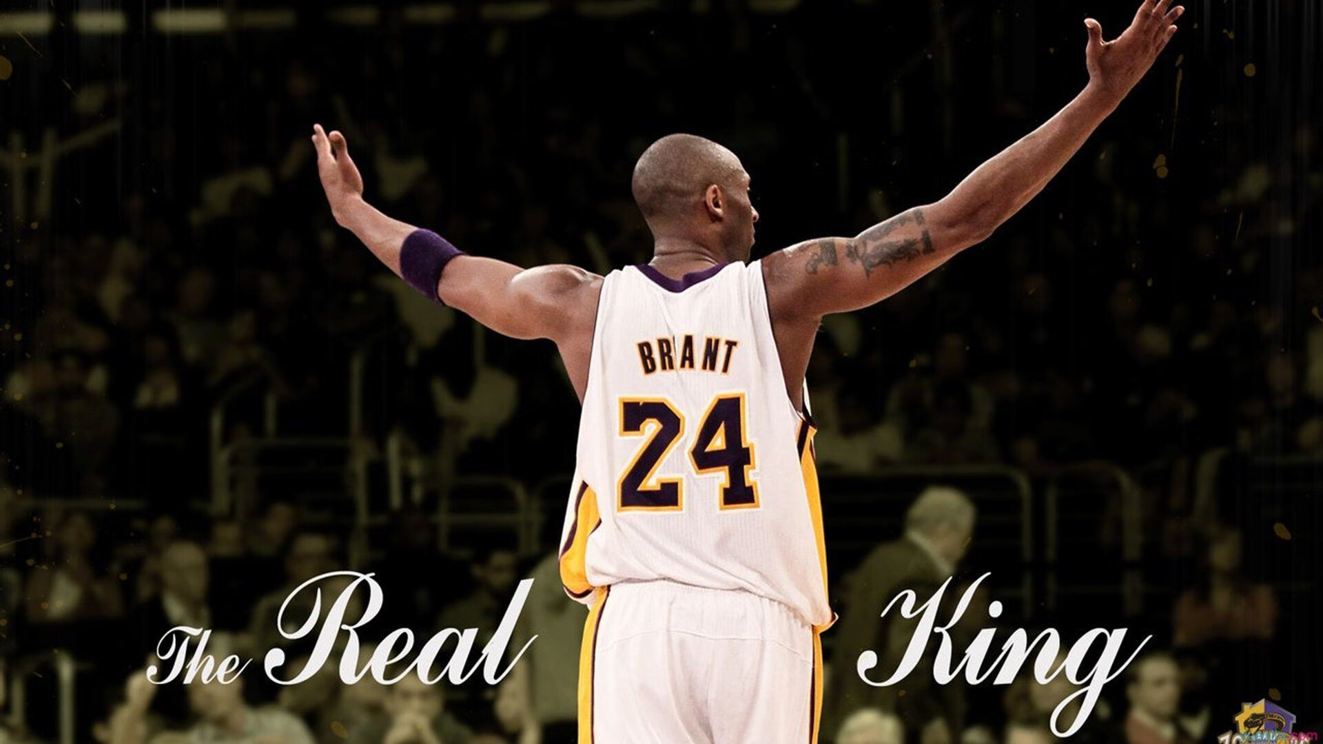 拉亚高光表现如定海神针,洪都拉斯铁蹄无情击溃威尔士红龙